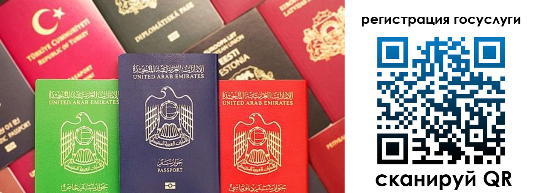 временная регистрация недорого в Торжоке